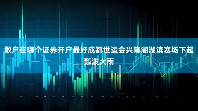 散户在哪个证券开户最好成都世运会兴隆湖湖滨赛场下起瓢泼大雨